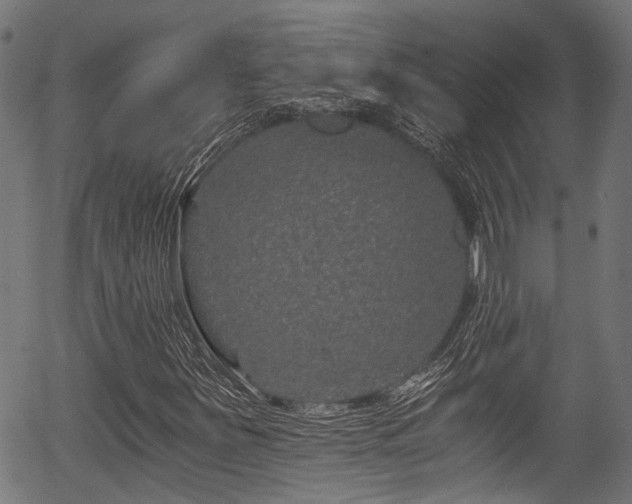 X0000056321251200508291212