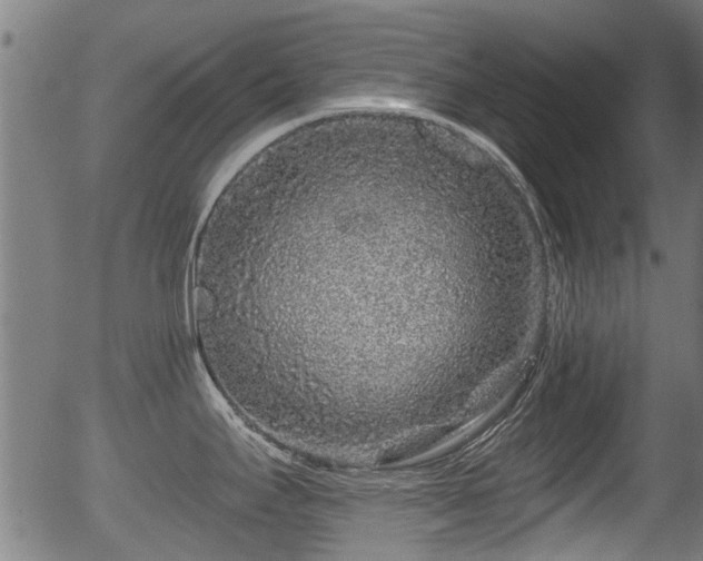 X0000056321295200508291212