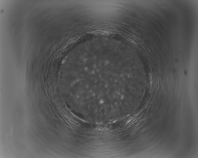 X0000056321297200508291211
