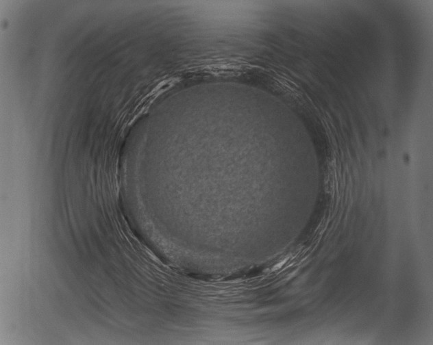 X0000056321298200508291211