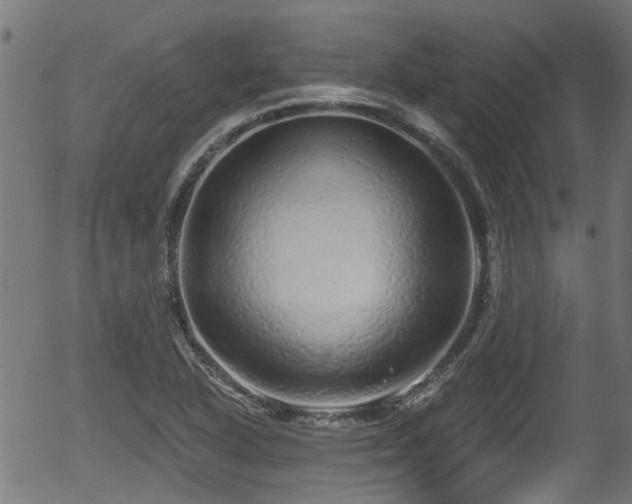 X0000056321318200508291211