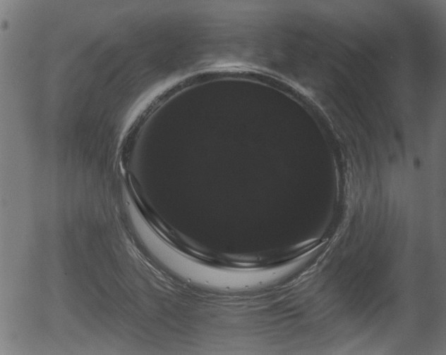 X0000056321319200508291211