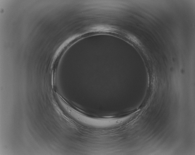 X0000056321323200508291211