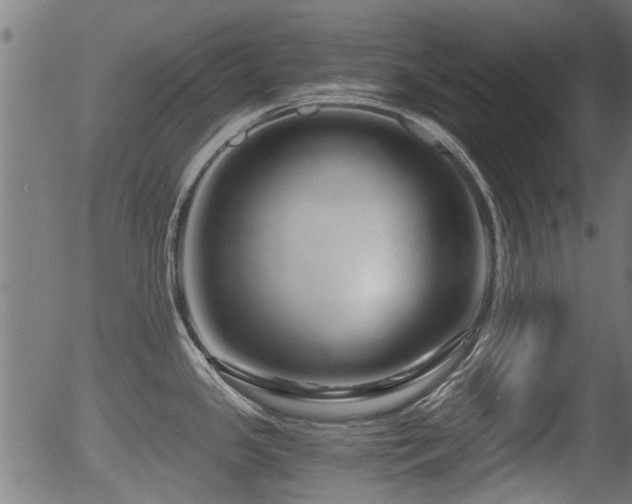 X0000056321341200508291212