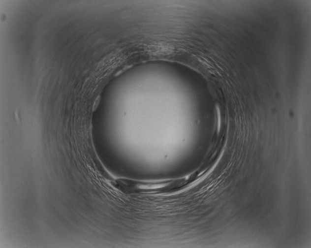 X0000056321345200508291211