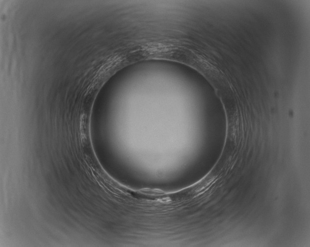 X0000056321346200508291211