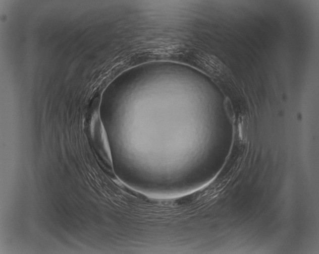 X0000056321347200508291211