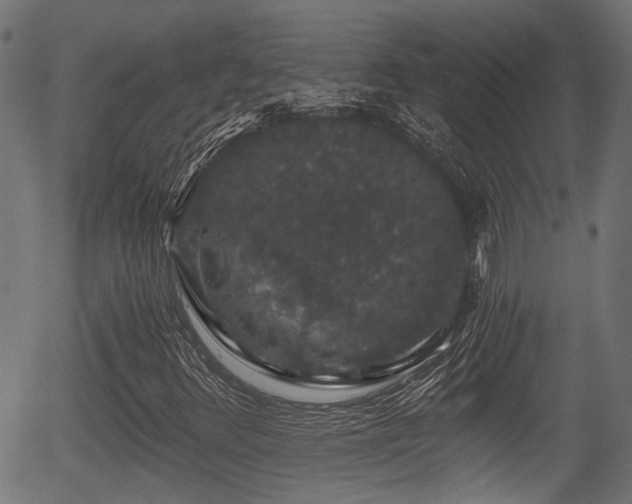 X0000056321348200508291211