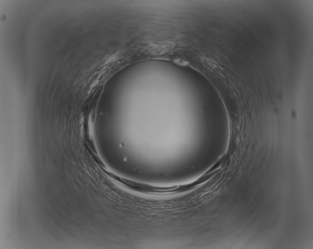 X0000056321349200508291211