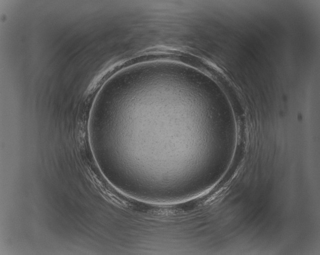 X0000056321355200508291211
