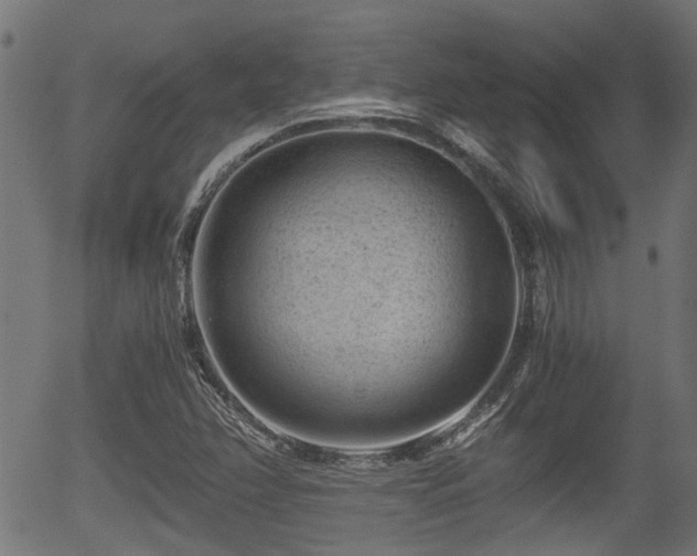 X0000056321358200508291210