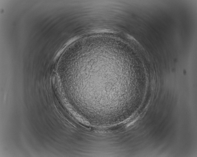 X0000056321361200508291210