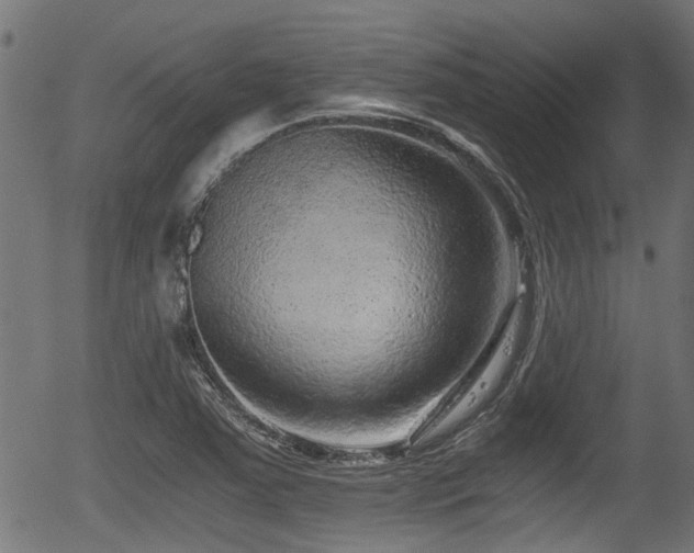 X0000056321363200508291210