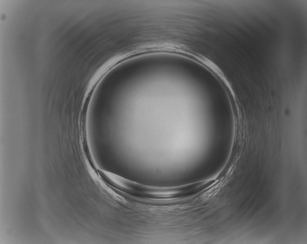 X0000056321389200508291210
