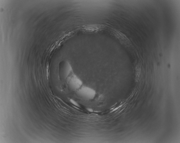 X0000056321394200508291209