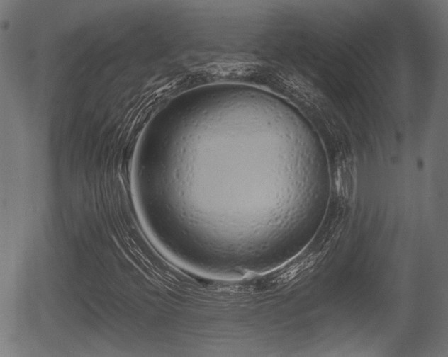 X0000056321396200508291209