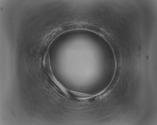 X0000056321398200508291209