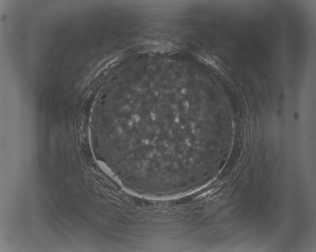 X0000056321399200508291209