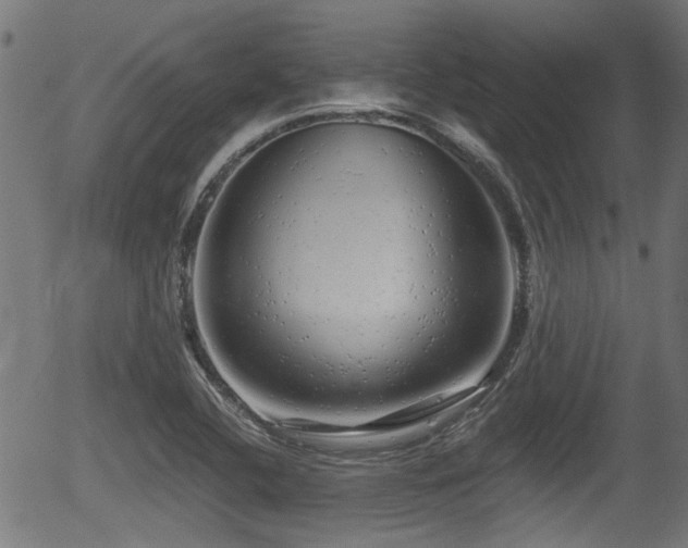 X0000056321412200508291209