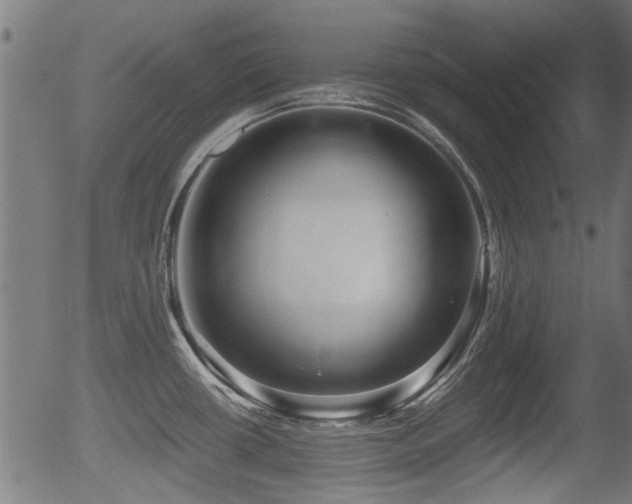 X0000056321434200508291210