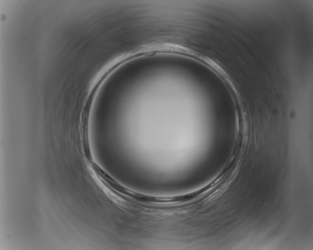 X0000056321438200508291210
