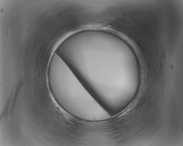 X0000056321440200508291210