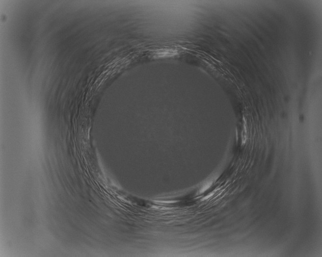 X0000056321441200508291209