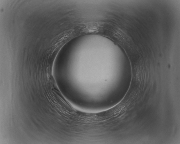 X0000056321442200508291209