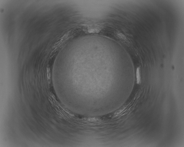 X0000056321443200508291209