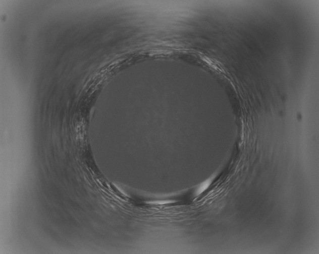 X0000056321445200508291209