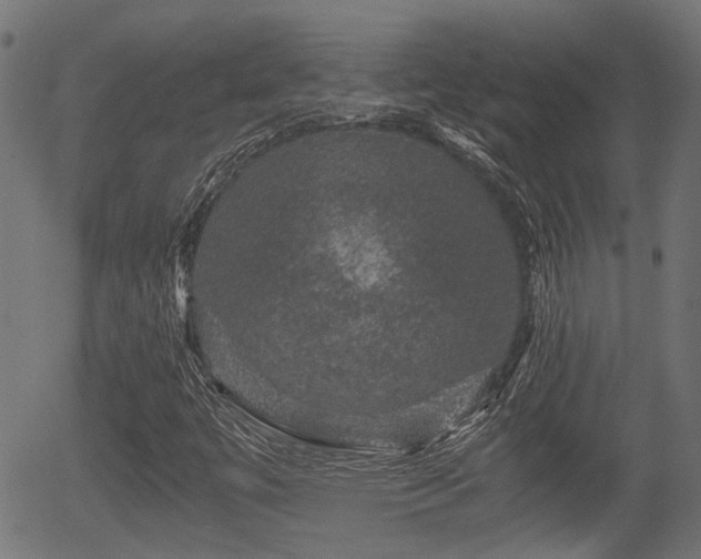 X0000056321447200508291209