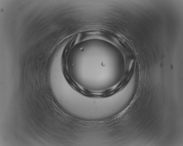 X0000056321449200508291209
