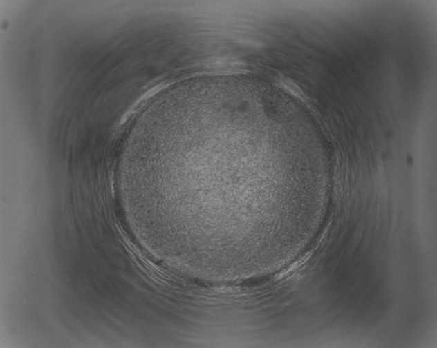 X0000056321451200508291209