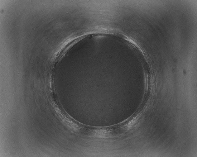 X0000056321455200508291209