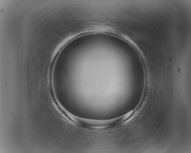 X0000056321477200508291208