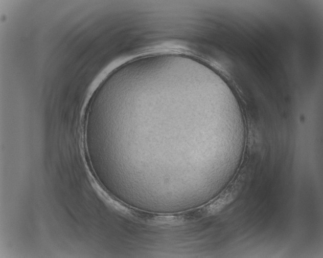 X0000056321478200508291208