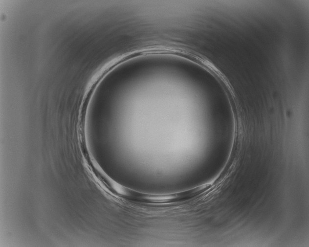 X0000056321485200508291208