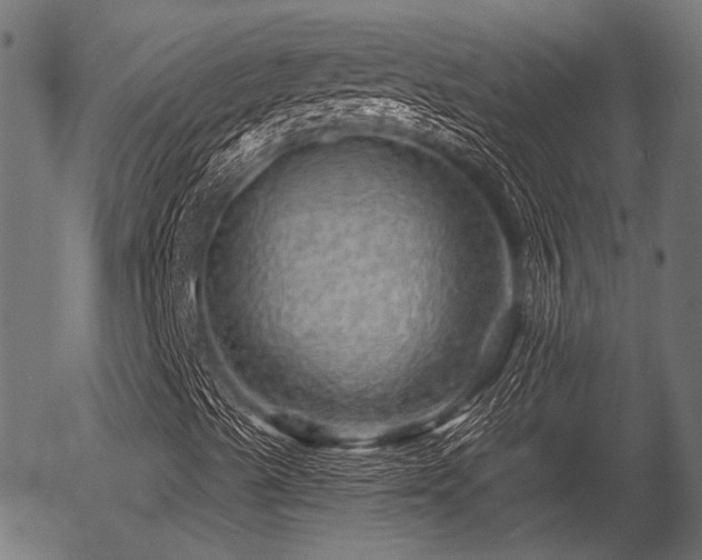 X0000056321489200508291207