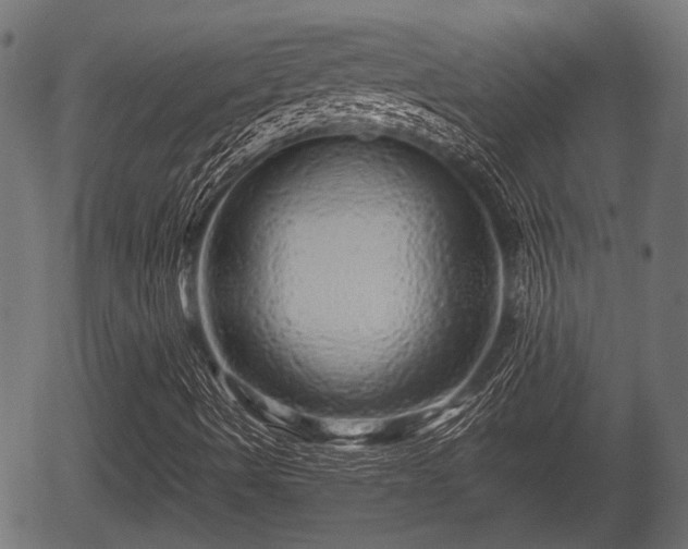 X0000056321490200508291207