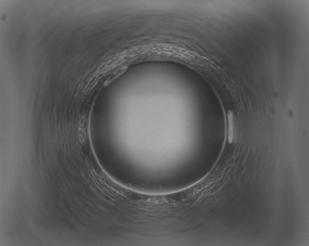 X0000056321491200508291208