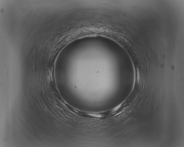 X0000056321492200508291208