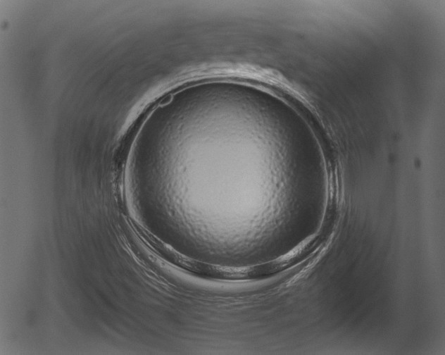 X0000056321501200508291208