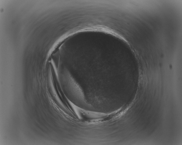 X0000056321506200508291208