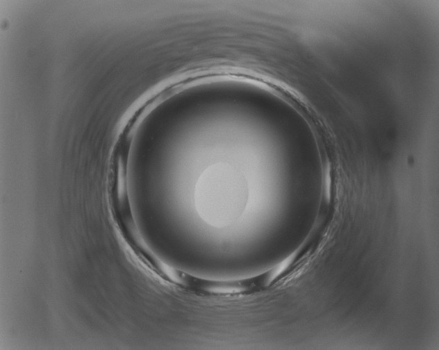 X0000056321518200508291208