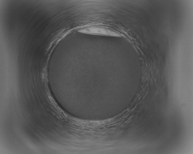 X0000056320002200509021615