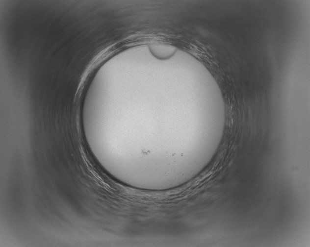 X0000056320004200509021615