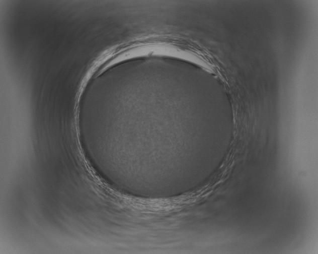 X0000056320006200509021615