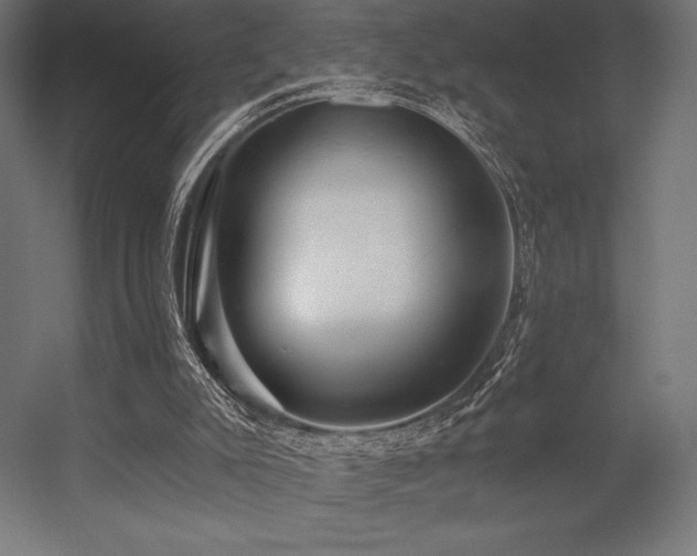 X0000056320007200509021615