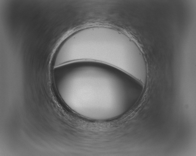 X0000056320008200509021615