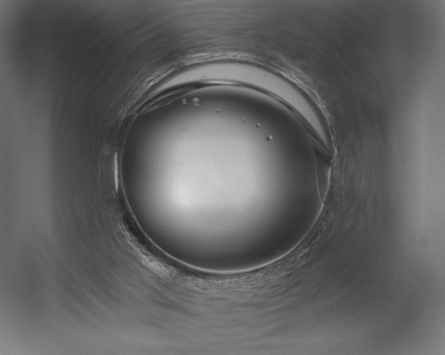 X0000056320013200509021615